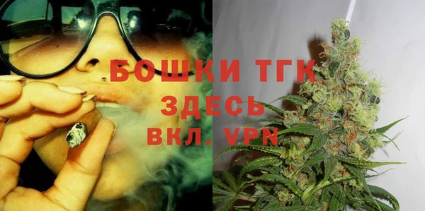 кокс Белокуриха