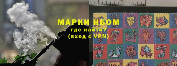 крисы Бородино