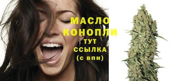 mix Богородицк